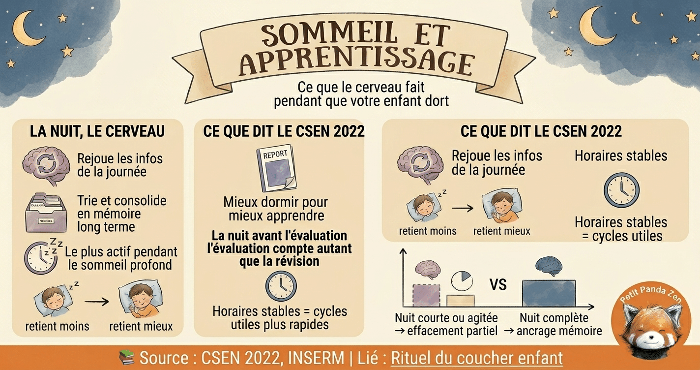 Sommeil et apprentissage chez l'enfant