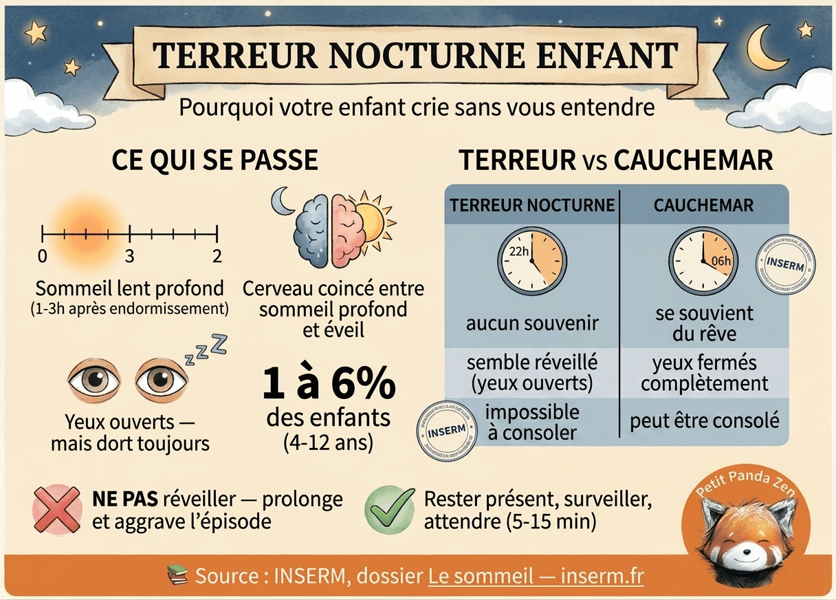 Les terreurs nocturnes chez l'enfant