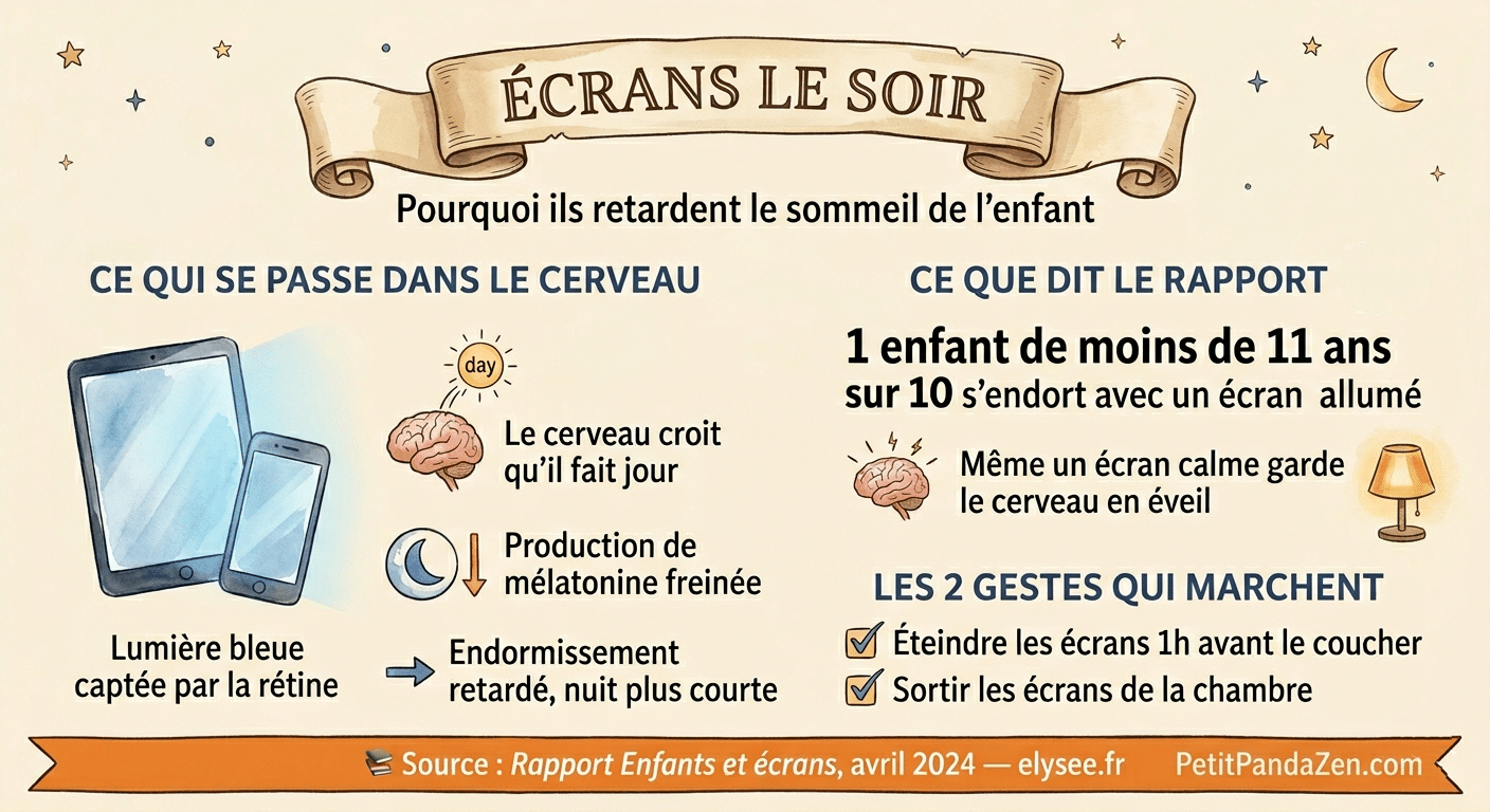 Infographie Petit Panda Zen : effets des écrans le soir sur le sommeil de l'enfant