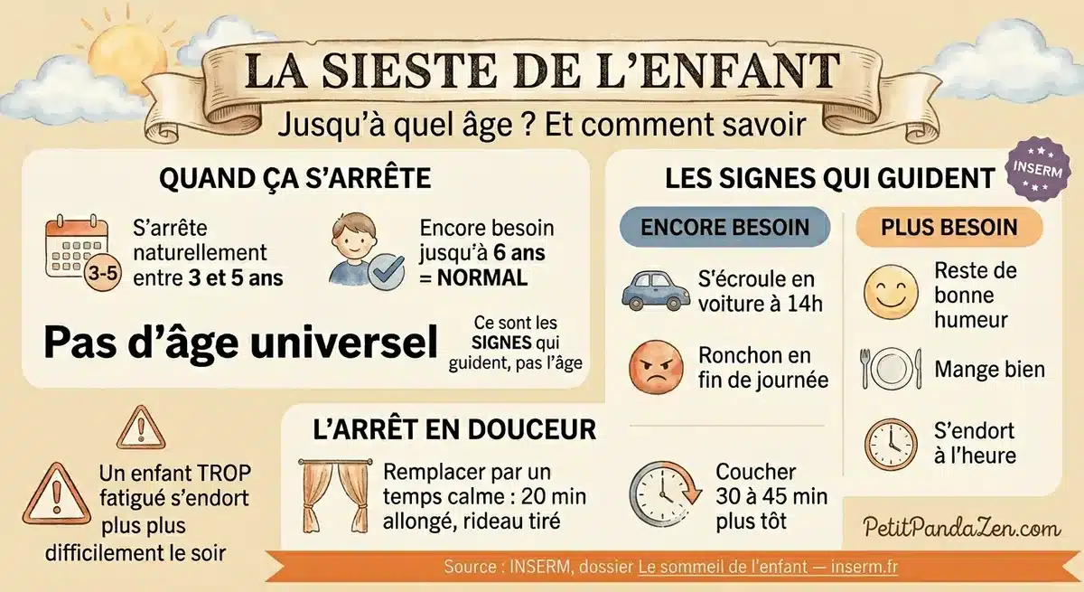 Infographie sieste enfant : jusqu'à quel âge, les signes qui guident et l'arrêt en douceur — source INSERM