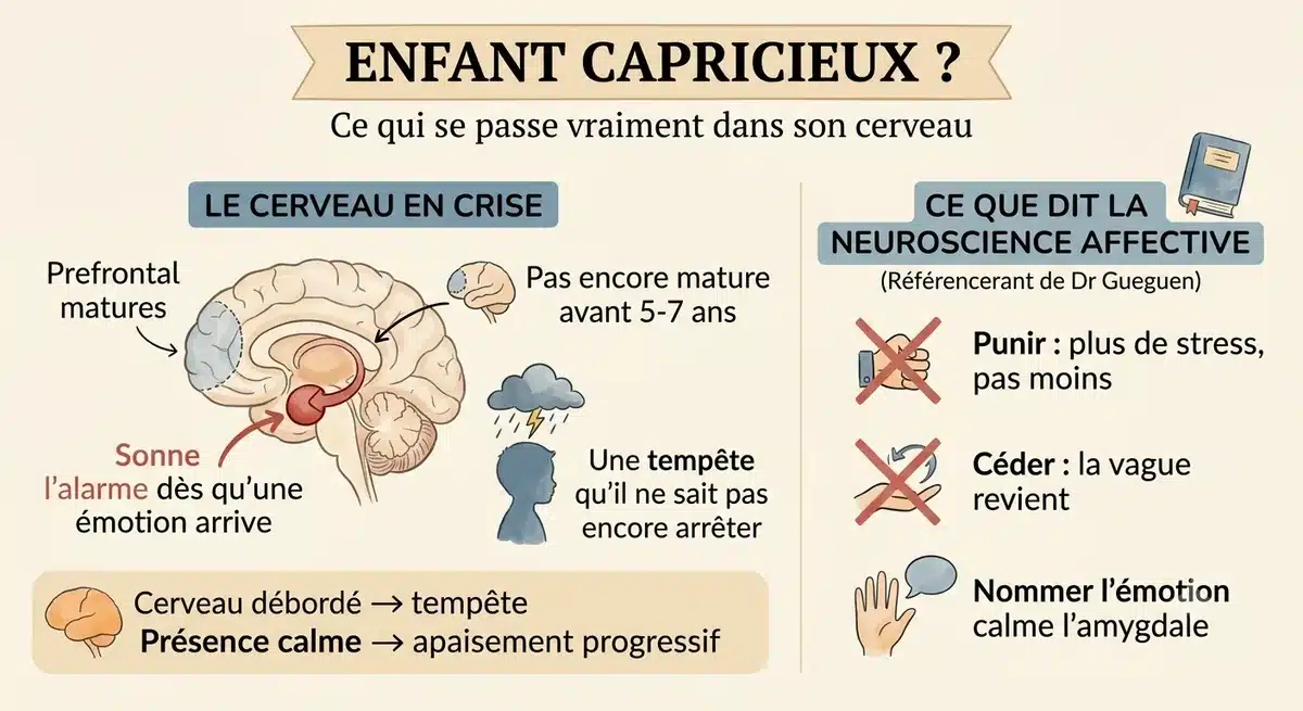 Parent apaise calmement son enfant capricieux en pleine crise de larmes à la maison